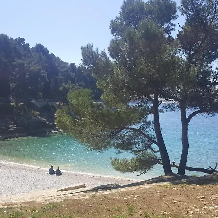 Eva * Pula