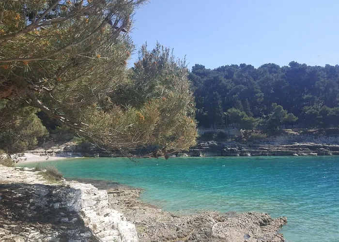 Eva Διαμέρισμα Πούλα