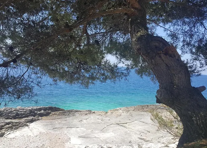 Διαμέρισμα Eva *